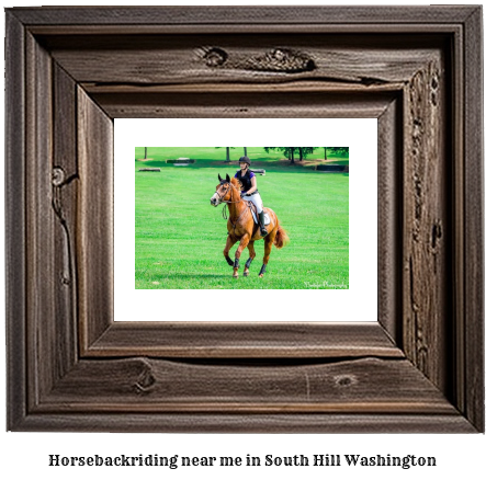 horseback riding near me in South Hill, Washington